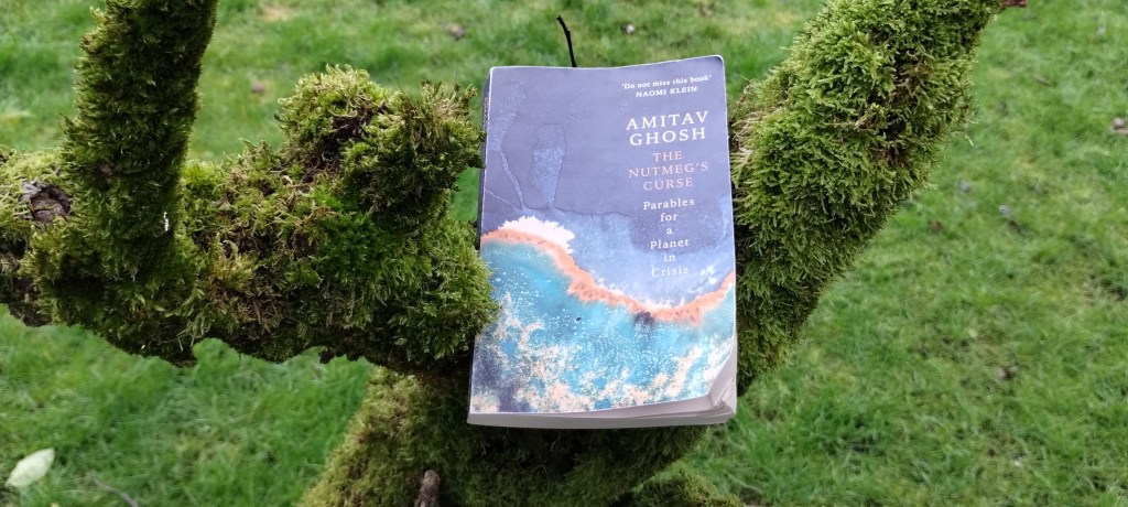 The Nutmeg’s Curse